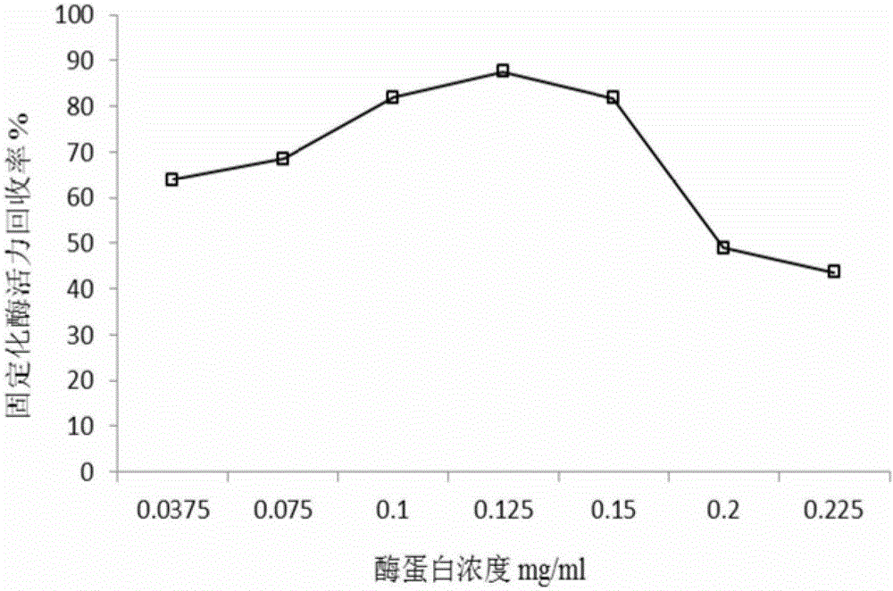 Method for immobilizing marine lipase Bohai Sea-9145 with magnetic Fe3O4@SiO2-NH2 nanoparticles