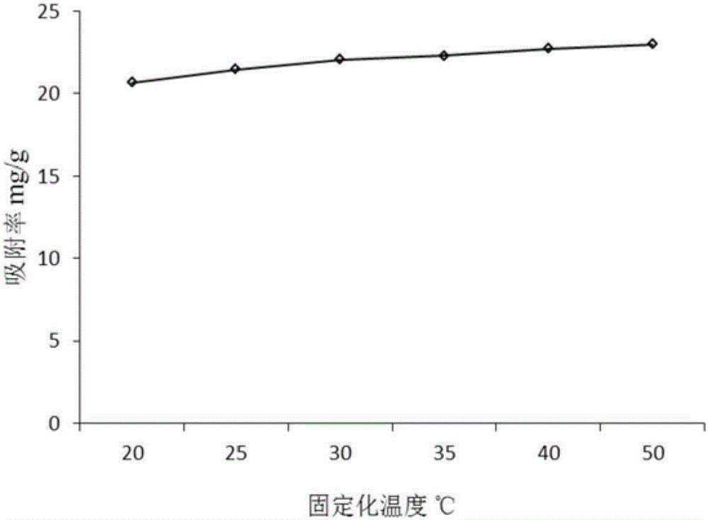 Method for immobilizing marine lipase Bohai Sea-9145 with magnetic Fe3O4@SiO2-NH2 nanoparticles