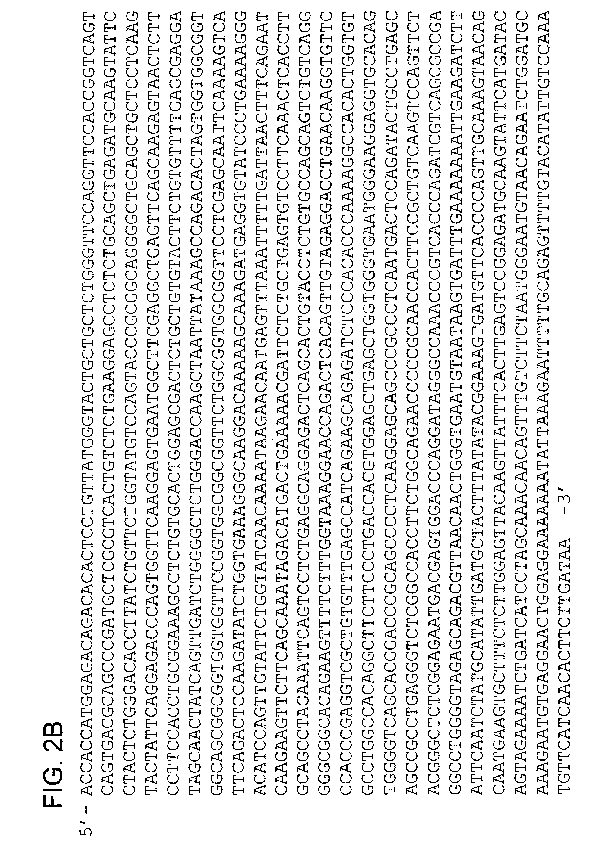 Fusion molecules and IL-15 variants