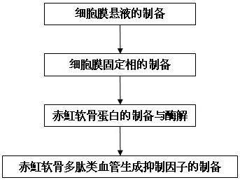 A rapid preparation method of red ray cartilage polypeptide angiogenesis inhibitory factor