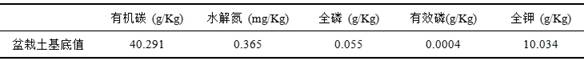 An endophytic fungus that can promote casuarina phosphorus uptake under low phosphorus environment