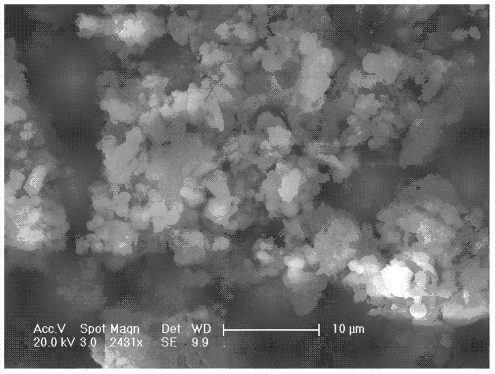 Mercapto polyaniline and preparation method thereof