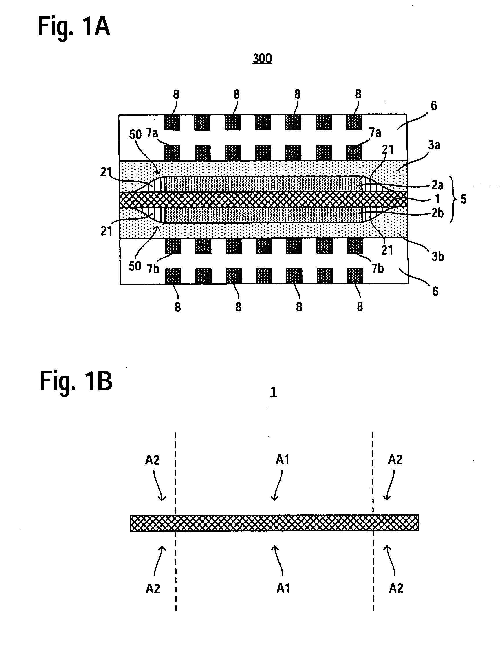 Fuel Cell