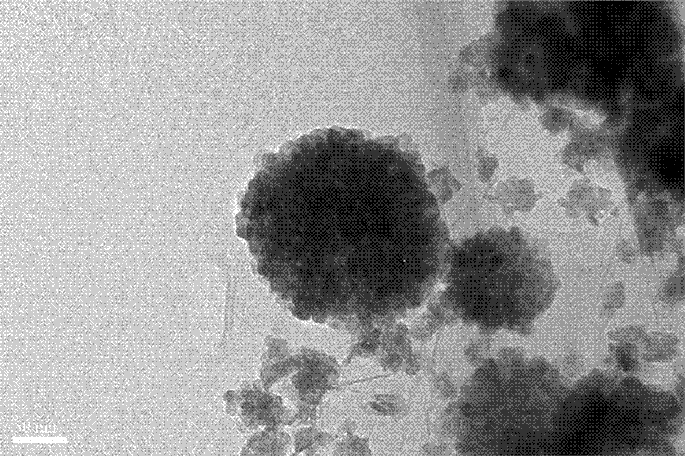 A kind of preparation method of sheet graphene single/multi-loaded noble metal nanoparticles