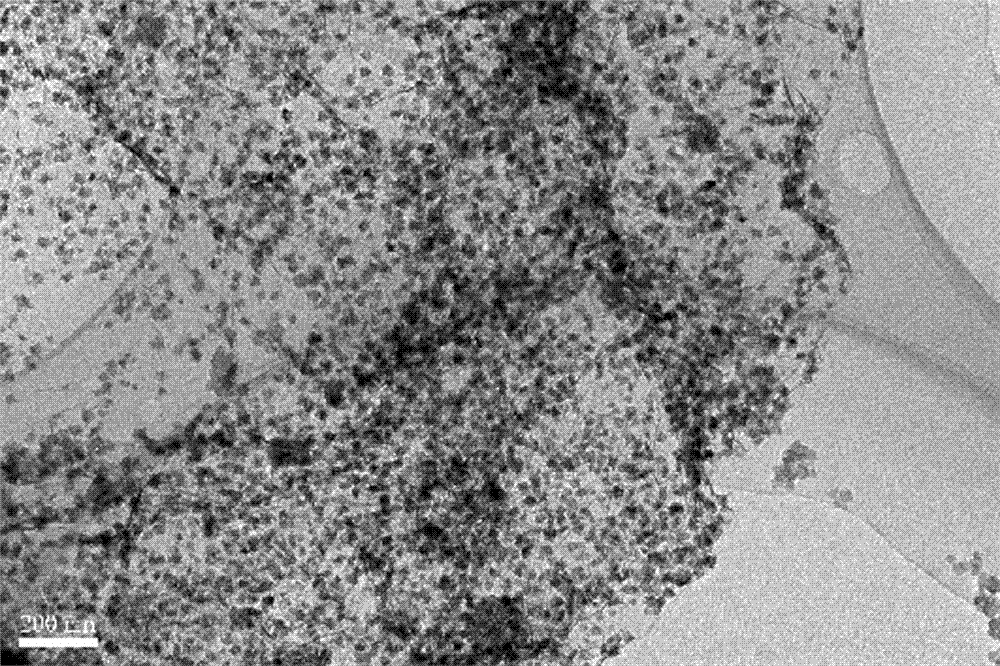 A kind of preparation method of sheet graphene single/multi-loaded noble metal nanoparticles