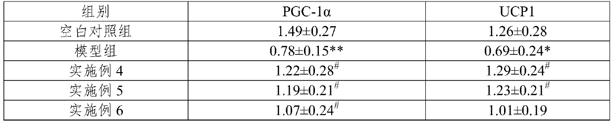 Traditional Chinese medicine composition for treating abdominal obesity and preparation and external preparation thereof