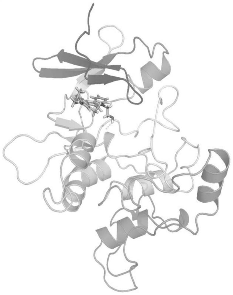 Human-derived LRRK2 protein small-molecule inhibitor and application thereof