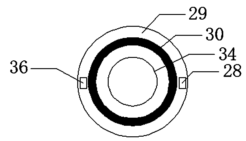 Autotrophic denitrification deep denitrification device and method for low-carbon-source sewage