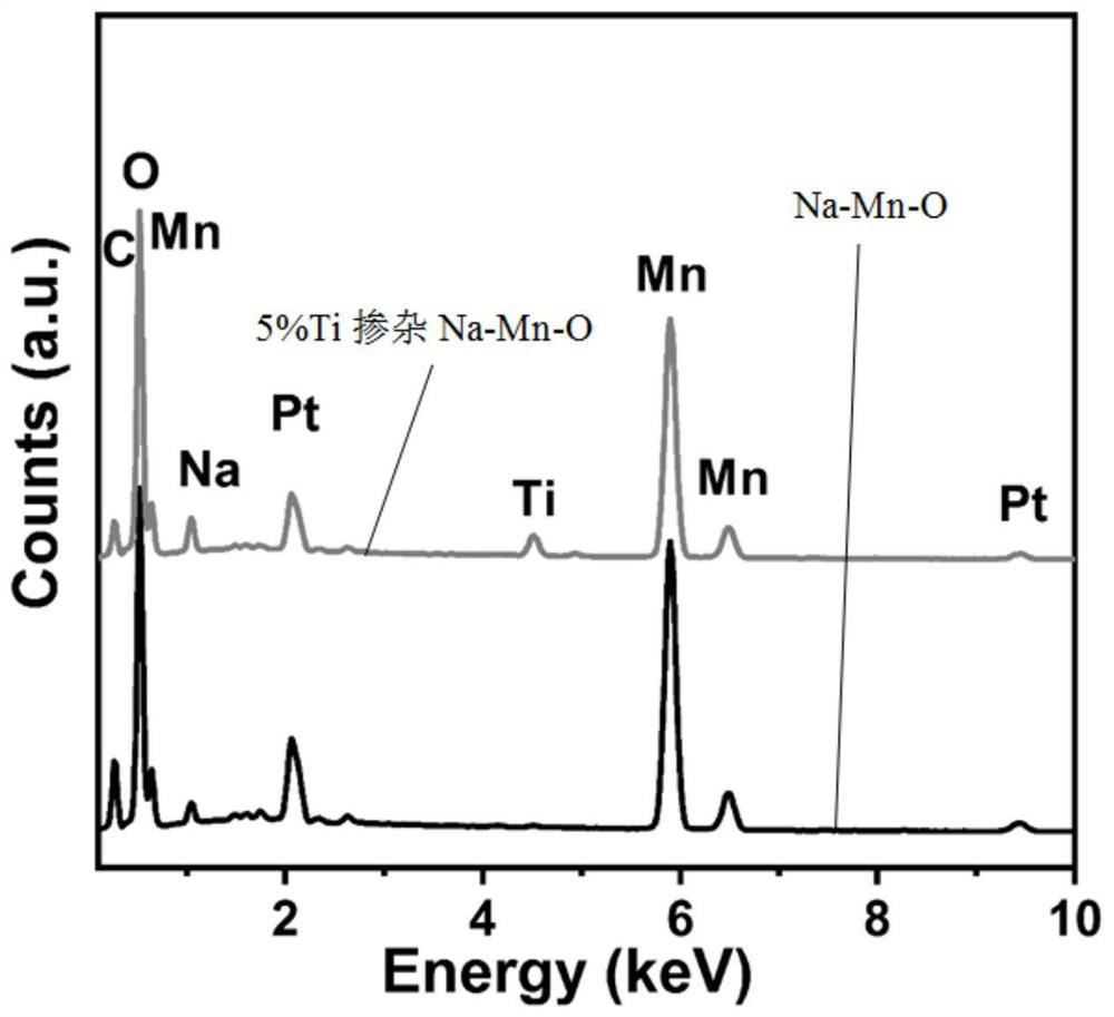 Magnesium ion battery cathode material of novel microstructure and preparation method thereof