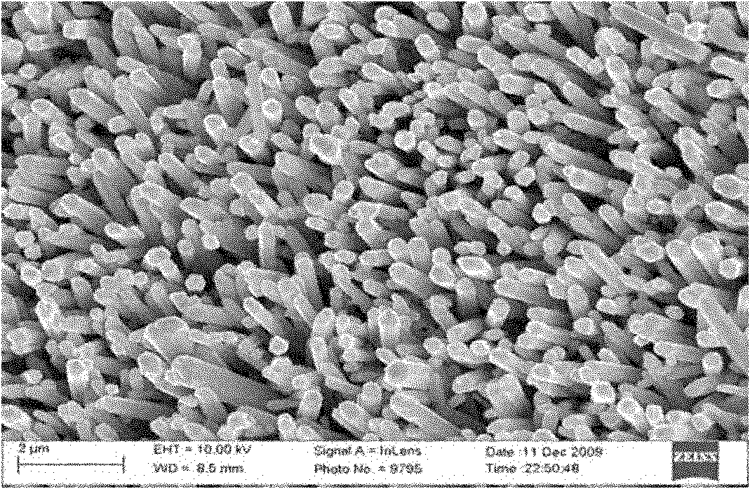 Method for preparing Schottky contact ZnO nano array ultraviolet detection device