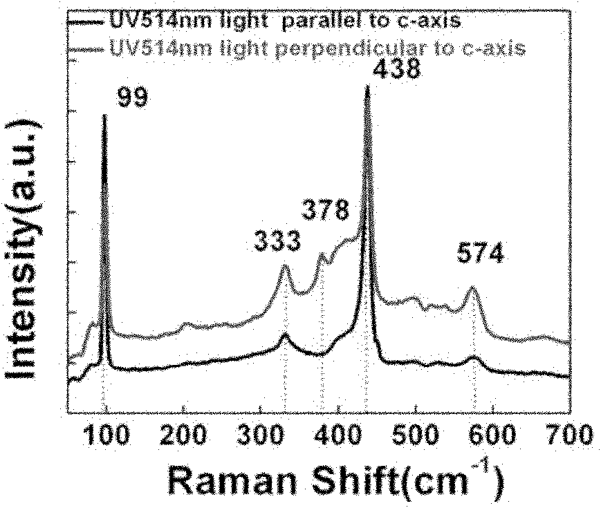 Method for preparing Schottky contact ZnO nano array ultraviolet detection device