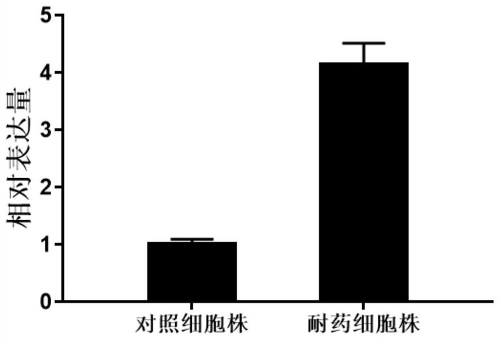 MiR-517a-3p related to cisplatin resistance of tumor cells and application of miR-517a-3p