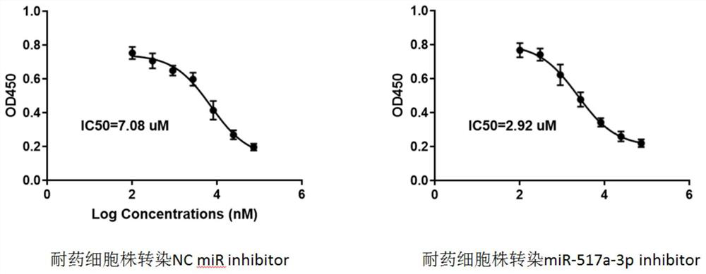 MiR-517a-3p related to cisplatin resistance of tumor cells and application of miR-517a-3p