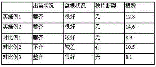 Matrix for rice hole tray seedling raising