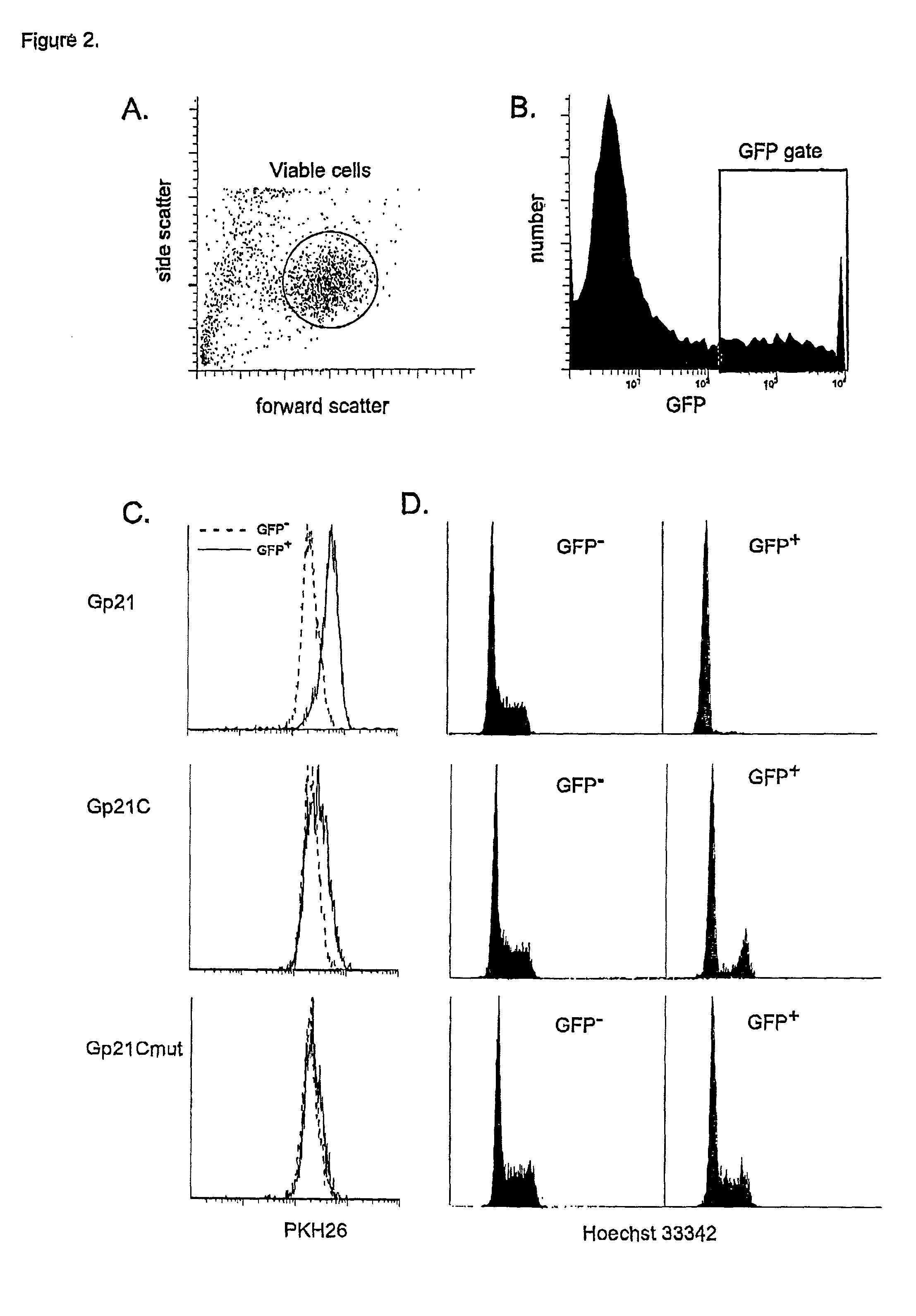 Multiparameter FACS assays to detect alterations in cellular parameters and to screen small molecule libraries