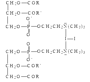 Application of iodized lecithin in preparing medicines used for treating bronchitis