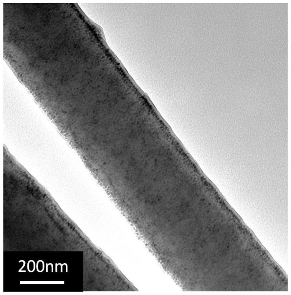 Magnetic nano stirrer prepared through electrostatic spinning technology and preparation method and application thereof