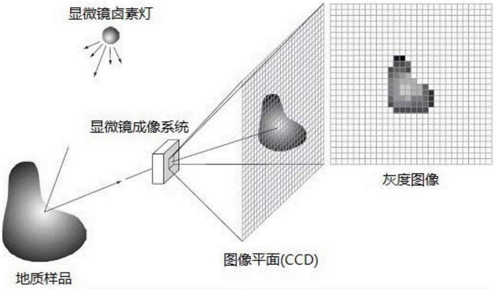 Measurement method of organic substance maturity of rock sample