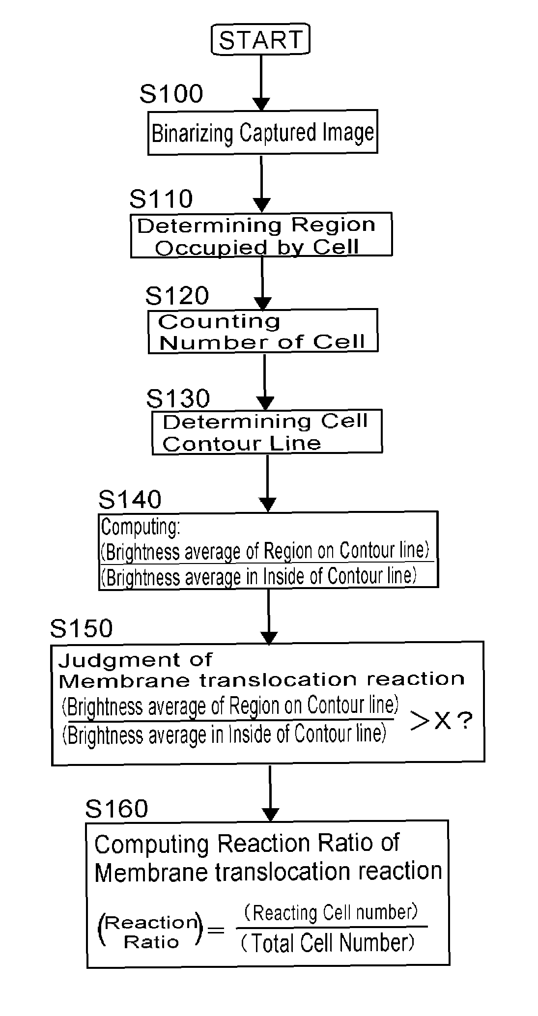 Apparatus, a method and software for analyzing a cell image