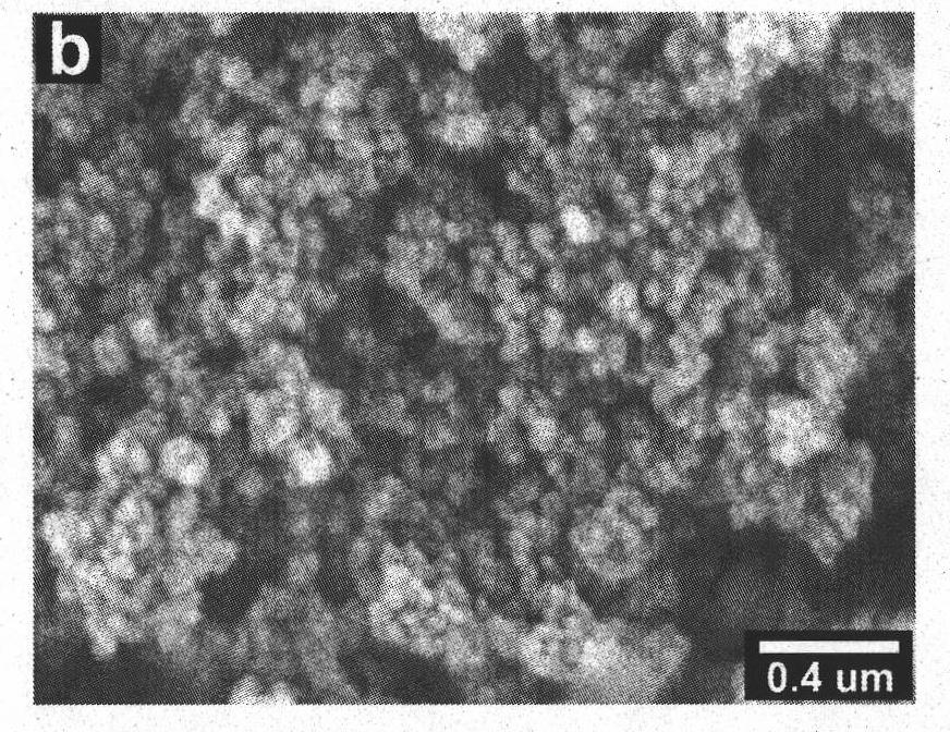 Preparation method of high-activity segregative TiO2 photocatalyst