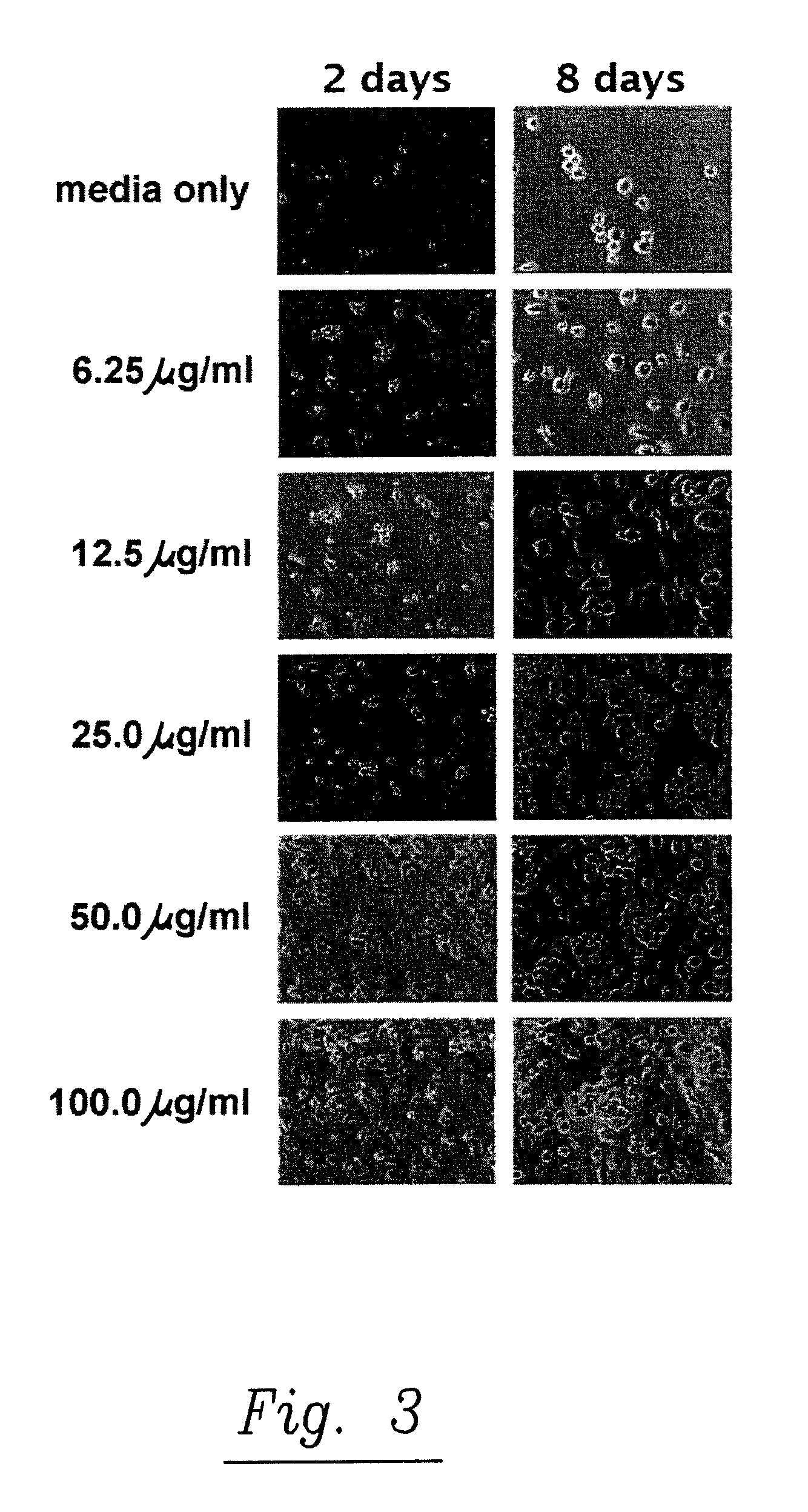 Plant extracts and uses thereof