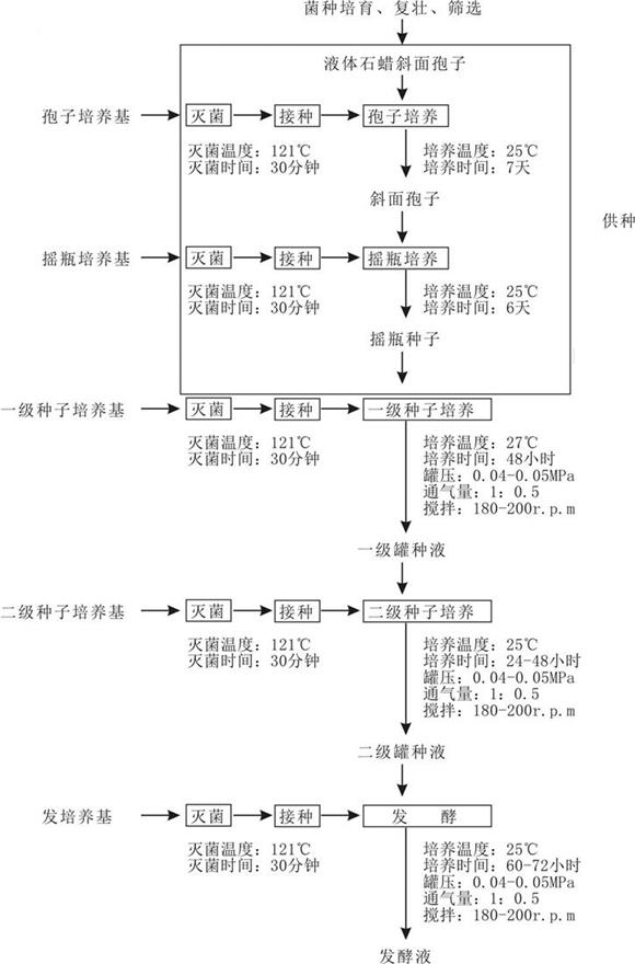 Industrial green production process of coriolus versicolor glycopeptide