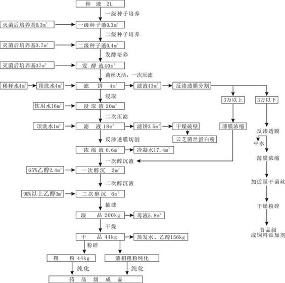 Industrial green production process of coriolus versicolor glycopeptide