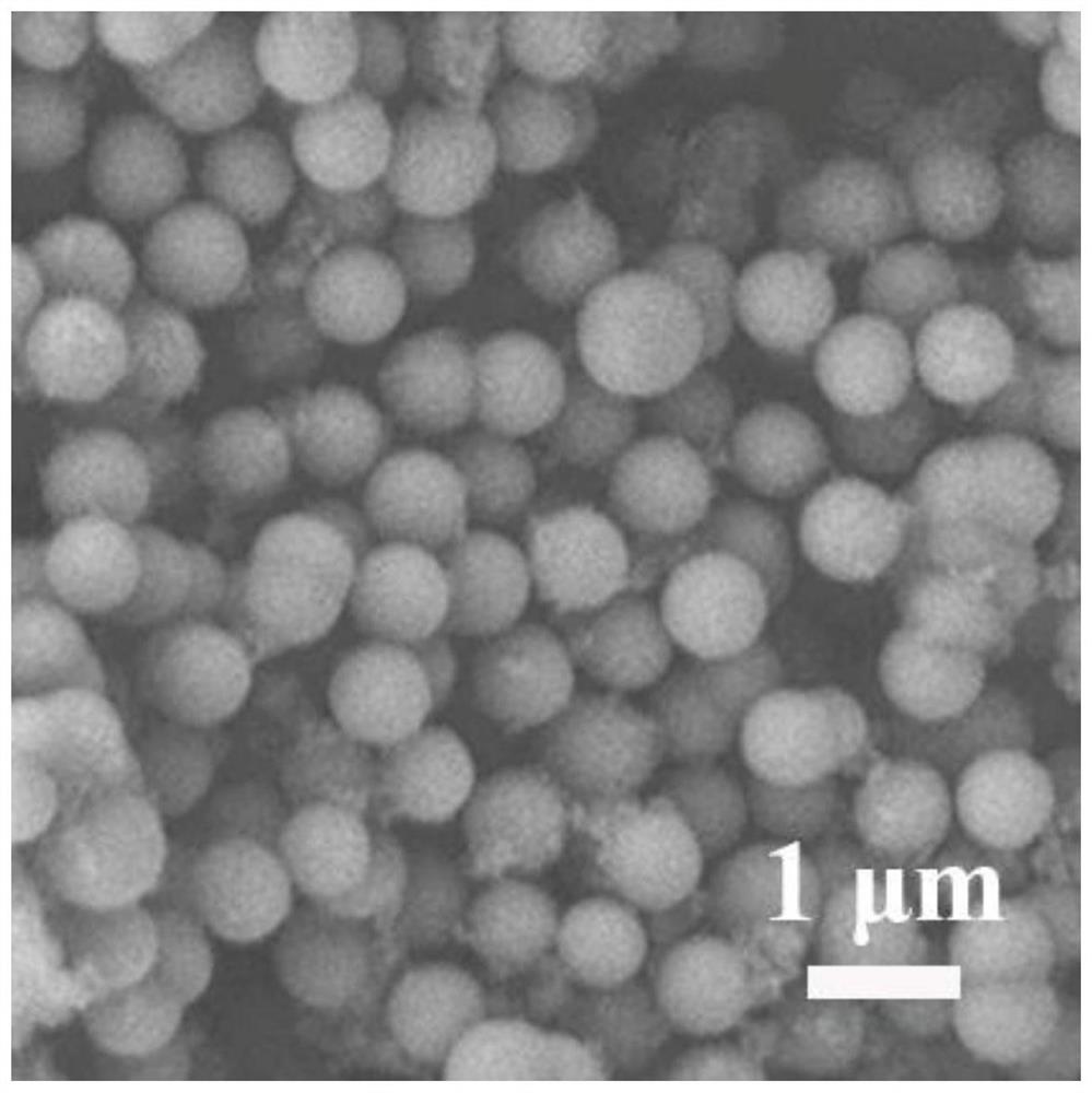 Novel injectable hydrogel for bone defect repair and preparation method thereof