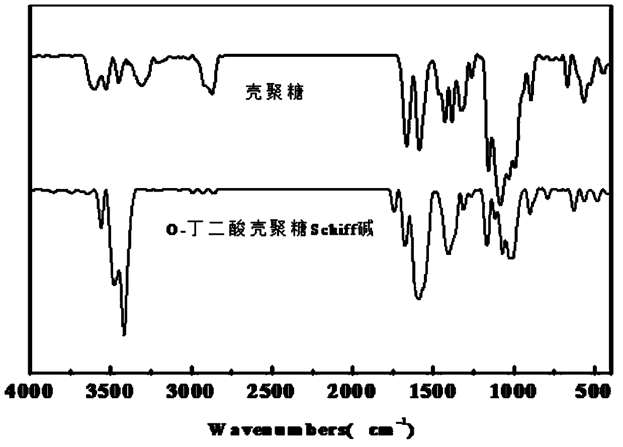 A kind of O-succinate chitosan Schiff base and preparation method thereof