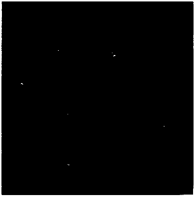 Method for showing hidden fingerprints through smoking of candles and candle smoke ash