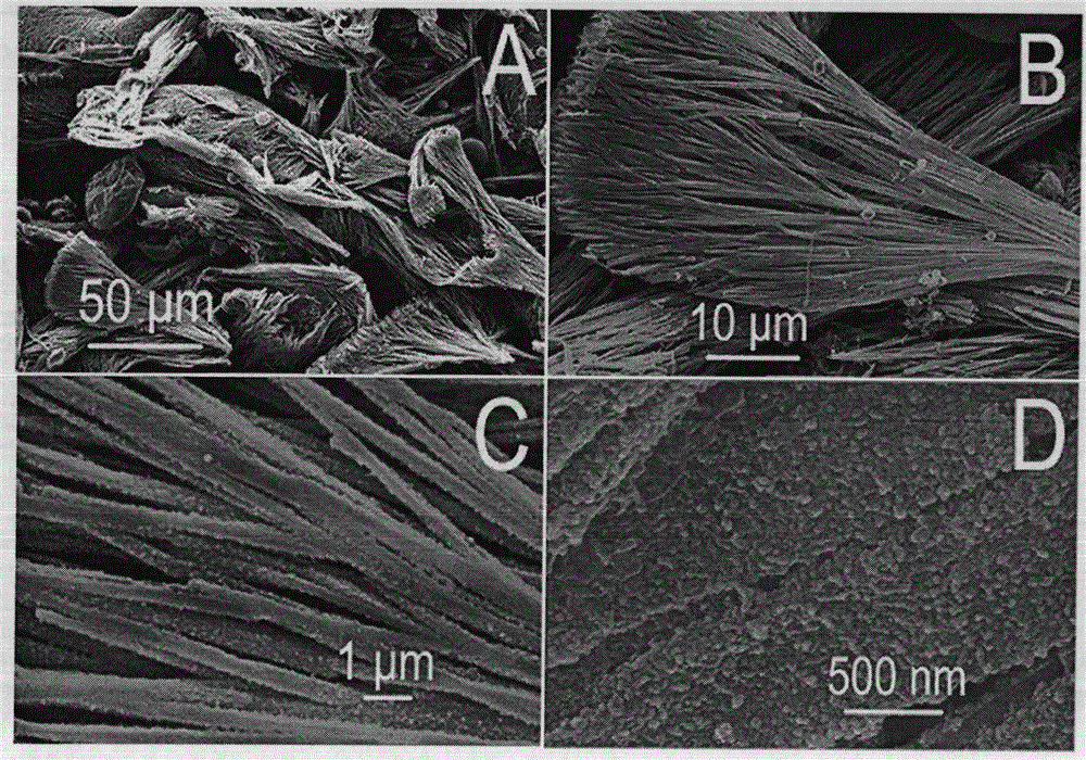 Polyaniline nanometer strip compound and preparation method thereof