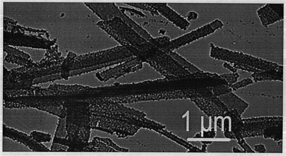 Polyaniline nanometer strip compound and preparation method thereof