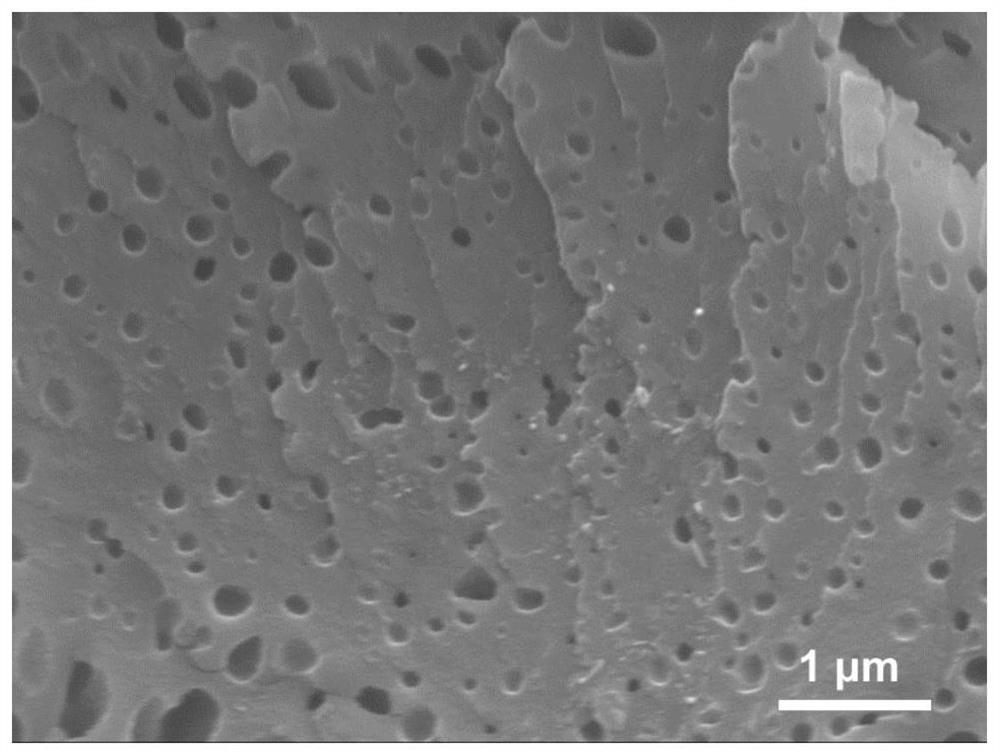 Lithium-sulfur battery cathode material, preparation method thereof, electrode sheet, and lithium-sulfur battery