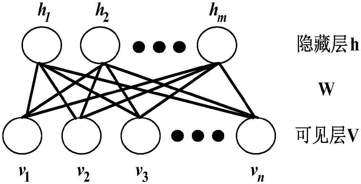 Improved deep belief network (DBN)-based cardiovascular disease (CVD) predicting model