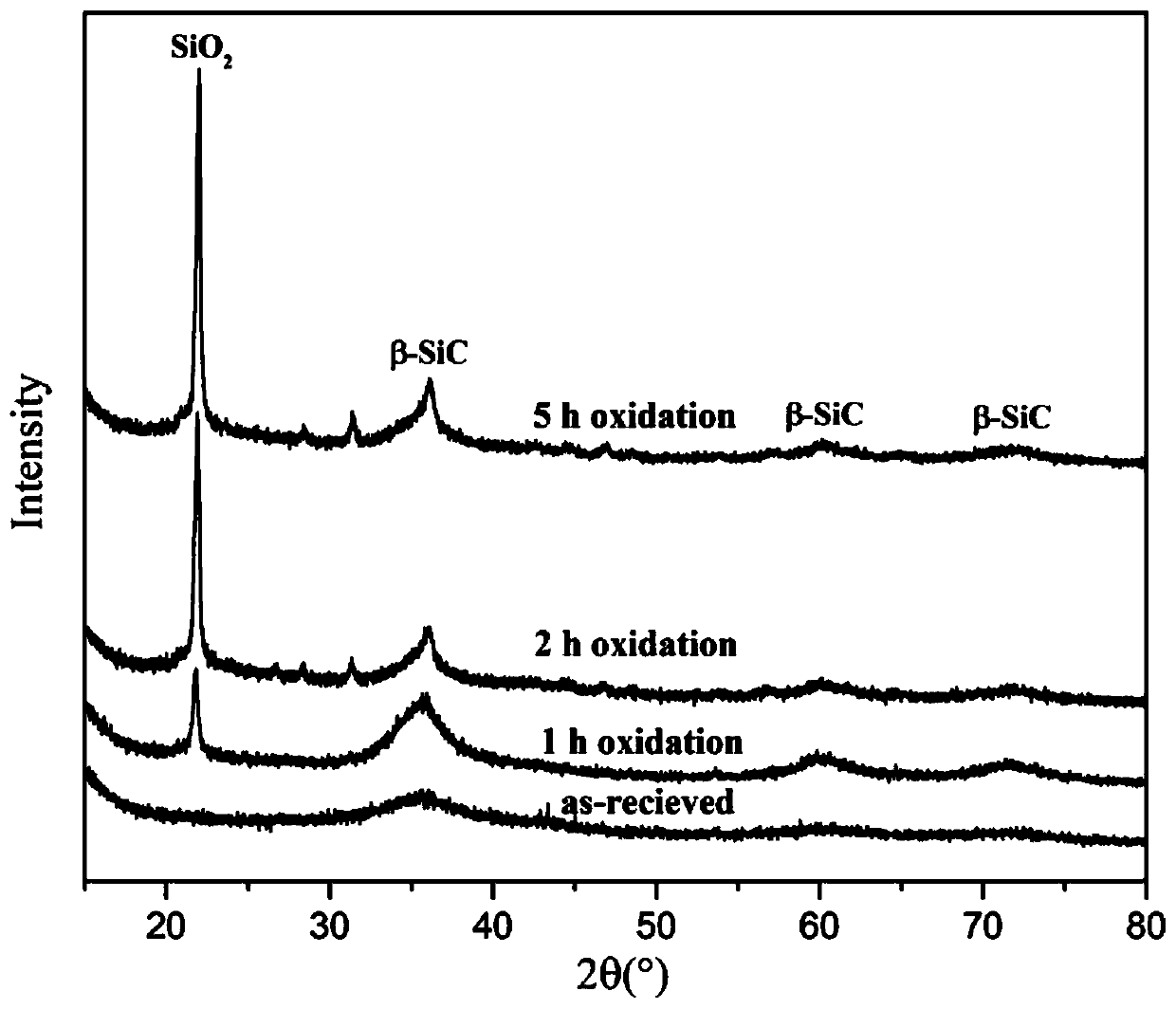 Silicon carbide polymer precursor ceramic defect healing method