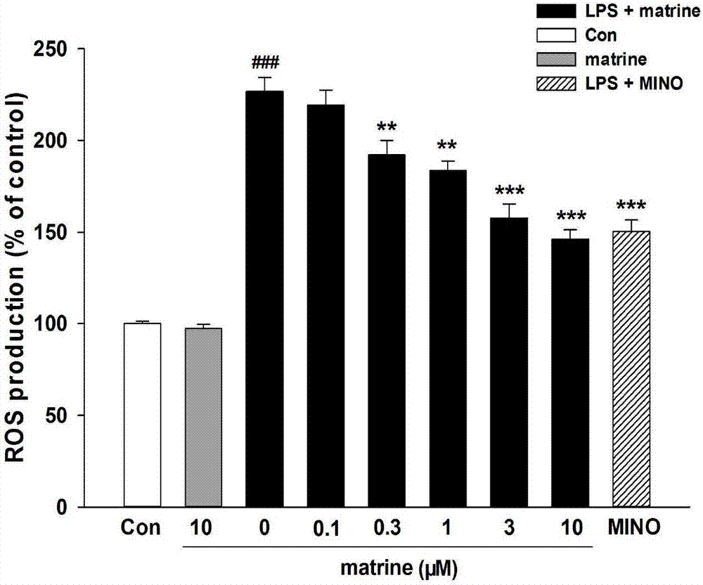 Application of sophocarpidine to preparation of medicine for inhibiting neuroinflammation