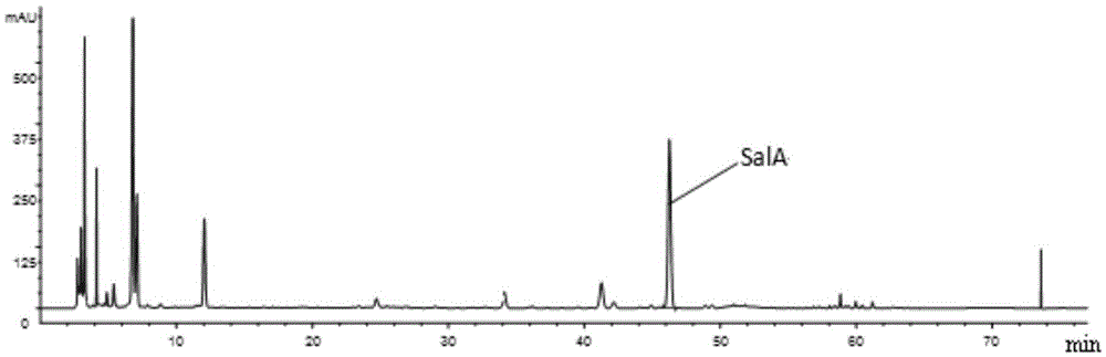 An extracting, separating and purifying method of salvianolic acid A and a preparing method of salvianolic acid salts