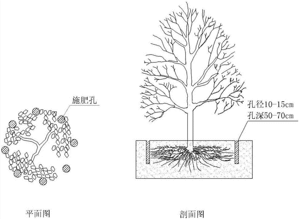 Preparation and application methods of stick fertilizer with synergy of reduced application of chemical fertilizers and increased application of organic fertilizers