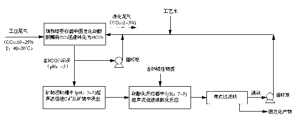 Method and device for immobilizing CO2 by enhancing mineral carbonation