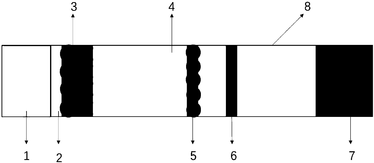 Fluorescence immunochromatography test strip prepared by taking aggregation-induced emission fluorescent microsphere as beacon carrier