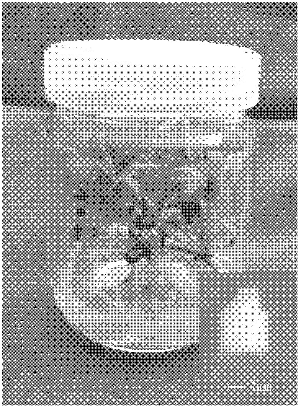 Ultralow-temperature preservation method and restoration culture method for carnation