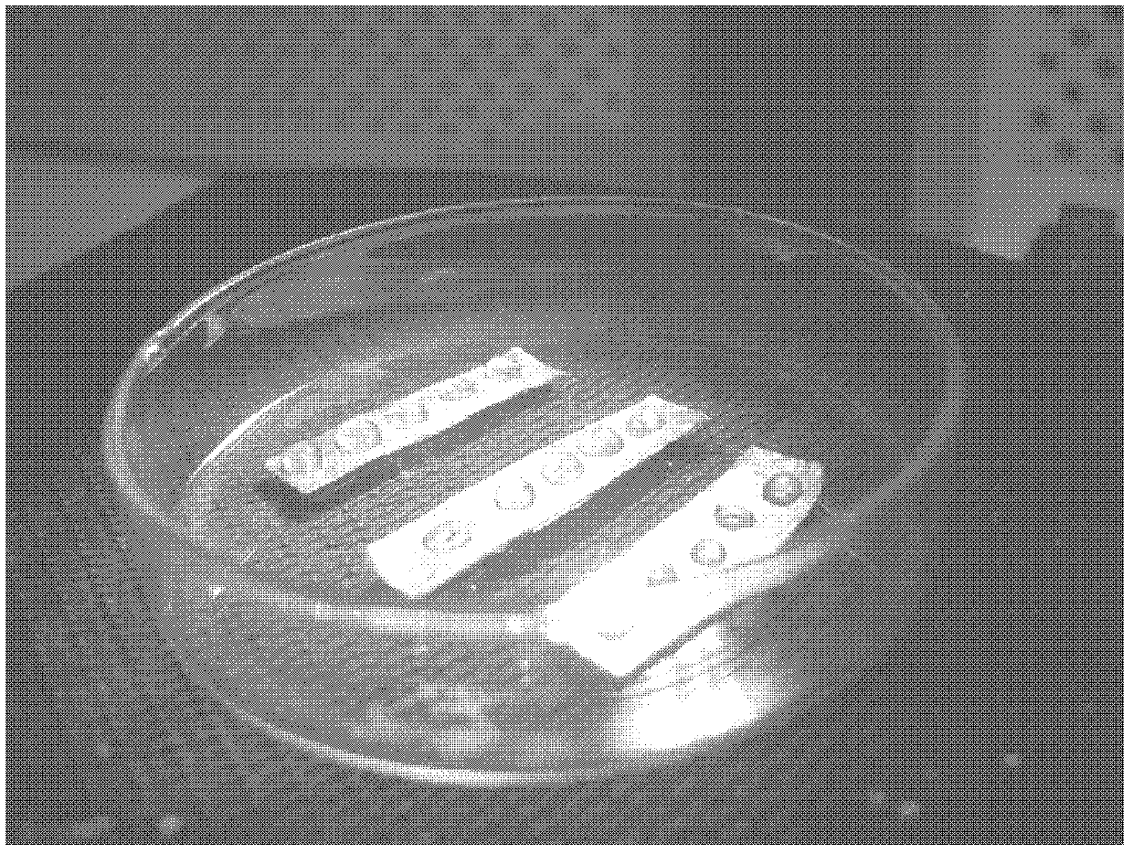 Ultralow-temperature preservation method and restoration culture method for carnation