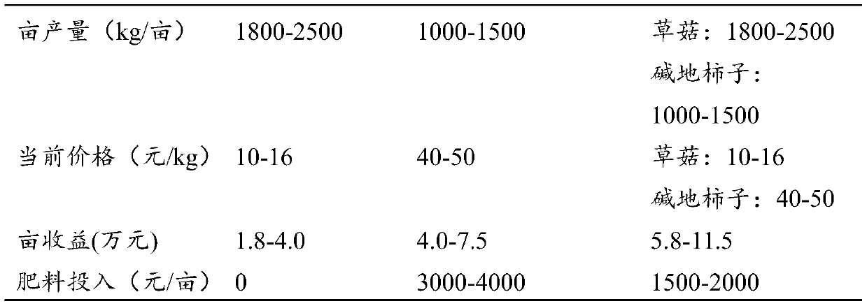 Rotation cropping cultivation method of volvariella volvacea and alkali-land diospyros kaki in greenhouse