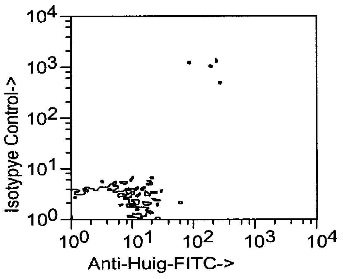 Recombinant anti-CD4 antibodies for human therapy