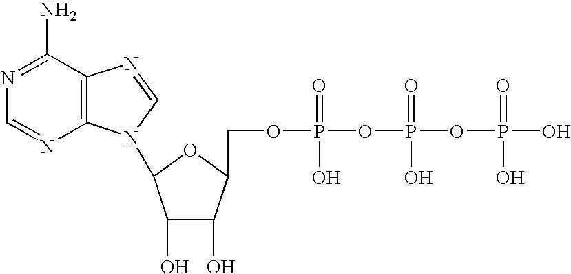 Methods and therapeutic compositions in the treatment of advanced cancer