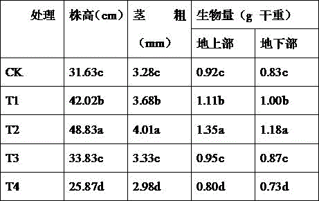 Method for preparing nutrient soil from earthworm cast for breeding of citrus container mycorrhizal seedlings