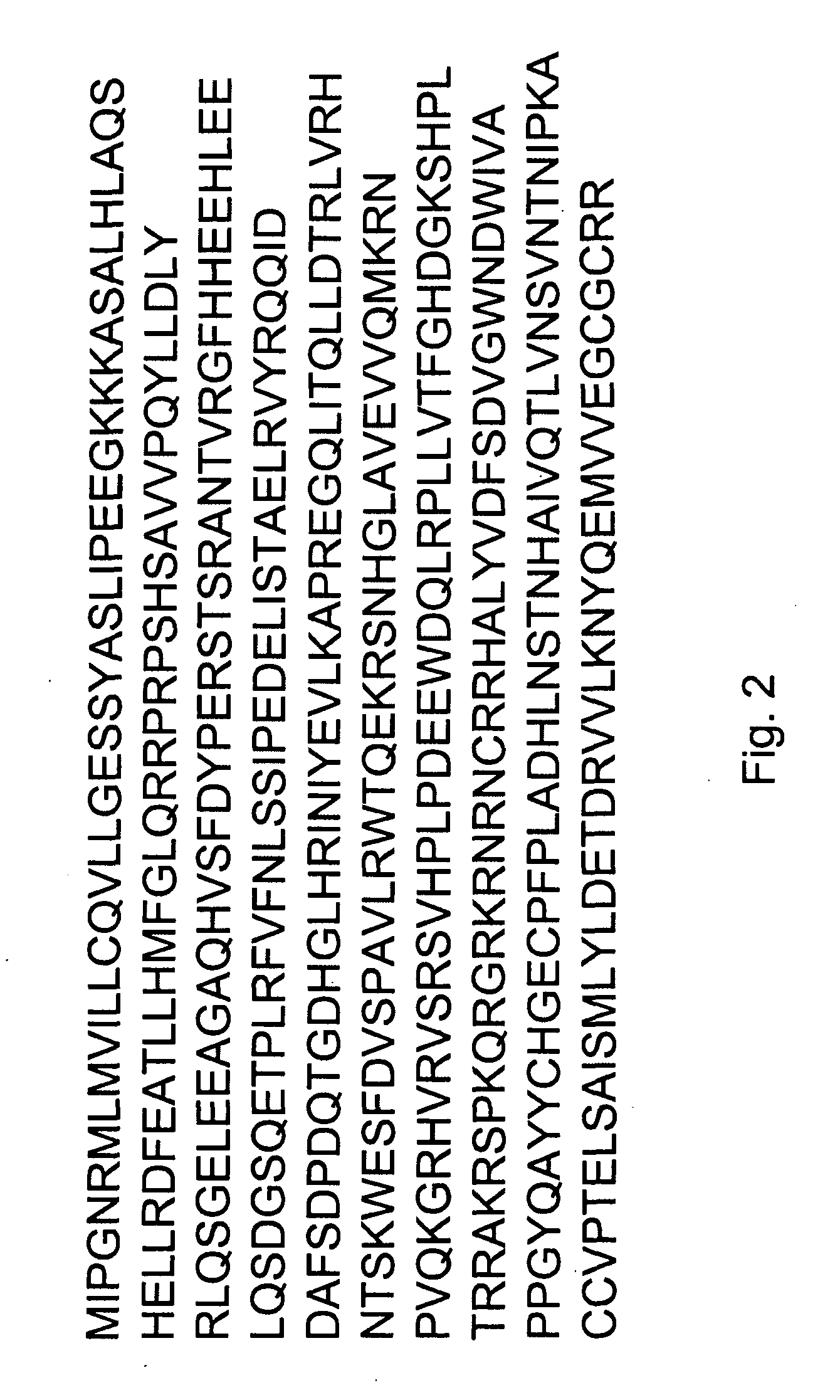 Expression of zebrafish bone morphogenetic protein 4