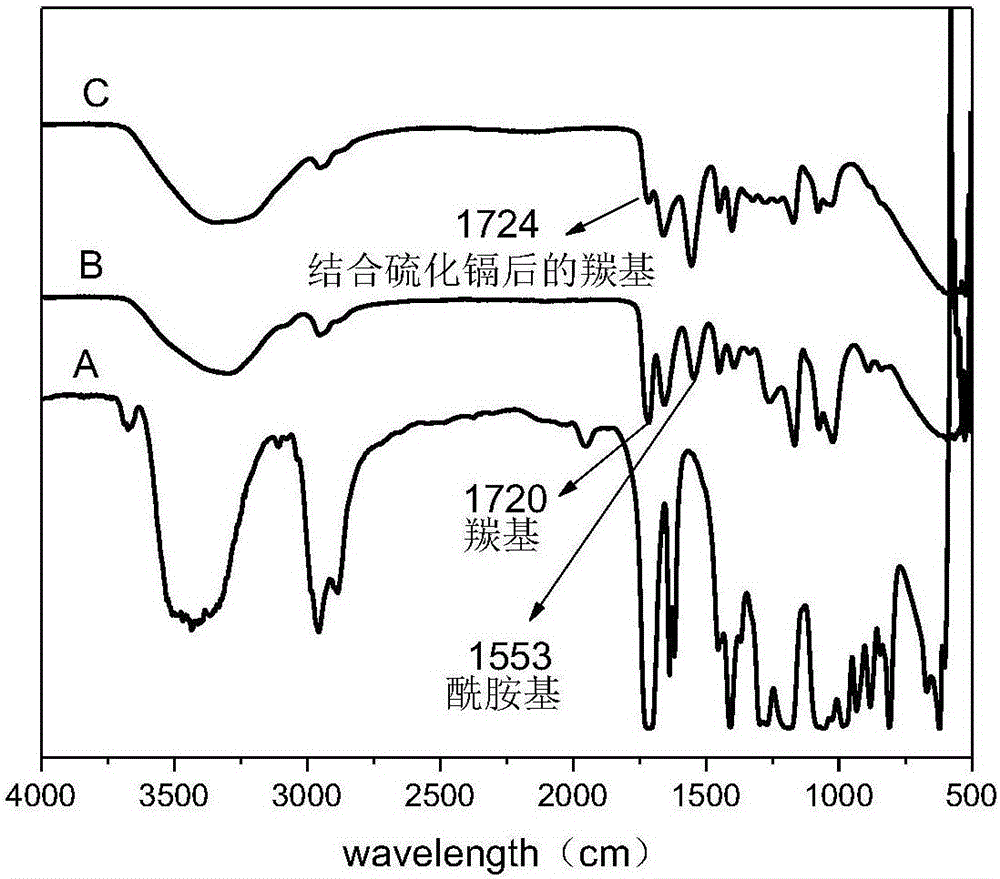 Preparation method and application of amido equipped composite hydrogel loaded with nano-cadmium sulfide photocatalyst