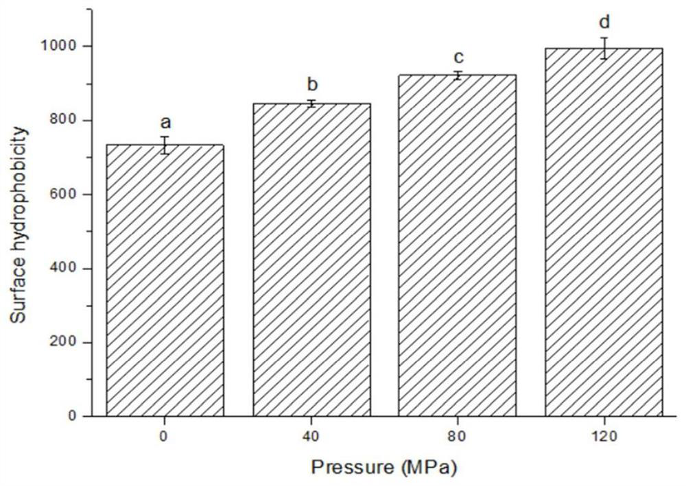 Method for modifying mussel protein through high-pressure homogenization treatment