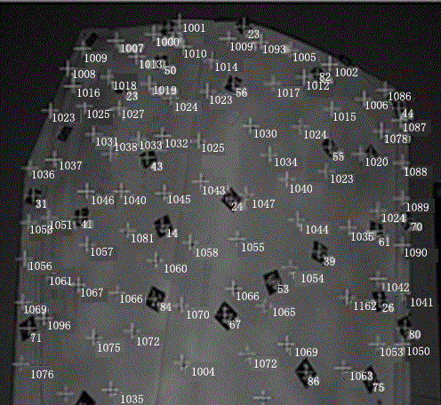 Honeycomb board online detection system and detection method